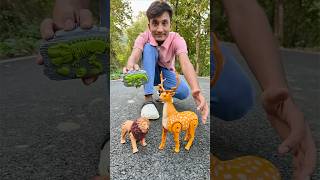 Two Remote Control Lion 🐅 and Deer unboxing 🦌 [upl. by Lux114]