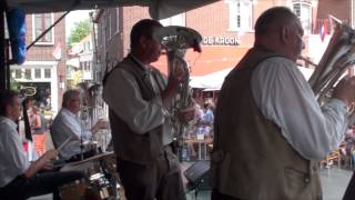 Alverländer Muzikanten uit Afferden Summertime Gennep 2012 [upl. by Greenquist]