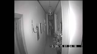 Horrifying Paranormal Activity in EXTREMELY Haunted Plantation Very Scary [upl. by Meli]