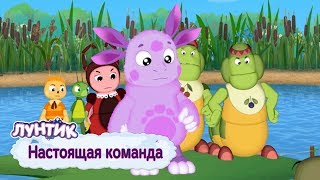 Настоящая команда 💥 Лунтик 💥 Сборник мультфильмов для детей [upl. by Eittik]