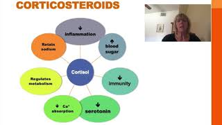 Pharmacology Basics Corticosteroid Medication [upl. by Weisbart]