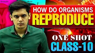 How Do Organisms Reproduce Complete Chapter🔥Class 10th Science NCERT covered Prashant Kirad [upl. by Armbrecht]