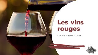 COURS OENOLOGIE  Les vins rouges [upl. by Tarfe782]