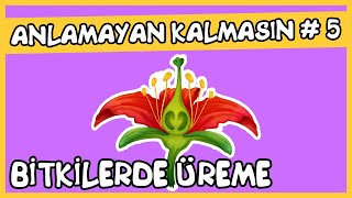 Anlamayan Kalmasın 5 Bitkilerde Üreme [upl. by Aniuqal]