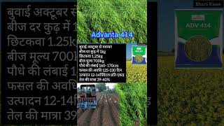 Advanta 414 sarsokikheti sarsonkikheti mustard mustardcultivation farming shorts viralvideo [upl. by Rosemaria]