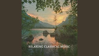 Violin Concerto in A Minor RV 356 Arr for Cello and Chamber Orchestra II Largo [upl. by Nuahsyar379]