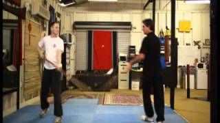 Ian Protheroe Wing Chun Chi Kwun Drills [upl. by Alesi]