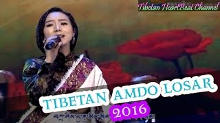 Best of TIBETAN AMDO LOSAR 2016 Tibetan New year [upl. by Rialb]