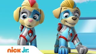 Dobble PAW Patrol  zábava pro celou rodinu [upl. by Brice]