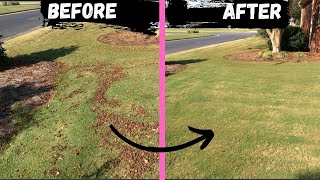 How To Get Leaves Up In 2 Minutes  Yard Sweeper Review [upl. by Eelrehpotsirhc]