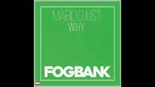 Mario Djust  Why The Real Soul Edit FOGBANK RECORDINGS Jackin House [upl. by Kingsly530]