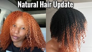 BLEACHING MY HAIR WAS A MISTAKE  1 Year amp 6 Months Of New Growth [upl. by Ridan]