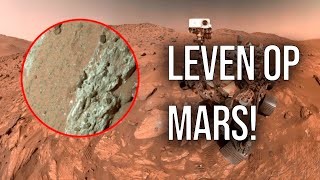 NASA vindt steen met bewijs van leven op Mars [upl. by Tonl]