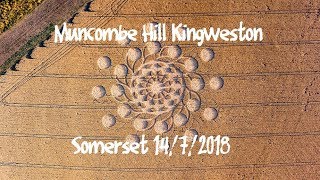 Crop Circle Muncombe Hill nr Kingweston Somerset Reported 14718 [upl. by Askari]