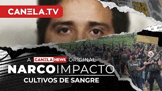 Cultivos de Sangre  Narco Impacto  Episodio 11  CanelaTV [upl. by Stila]