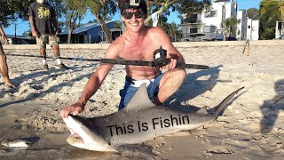 Bribie Island Bullshark Beach Fishing Ep 87 [upl. by Yrtneg775]