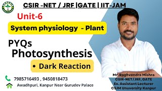 PYQs  Dark Reaction of Photosynthesis  CSIRNETJRF Life Sciences  L7 [upl. by Gianni507]