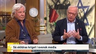 Hökmark och Guillou möts i debatt ”Kritik mot Israel likställs med…  Nyhetsmorgon  TV4 amp TV4 Play [upl. by Assirehc567]