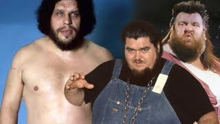 Andre the Giant vs Giant Haystacks amp Haystacks Calhoun [upl. by Juliana]