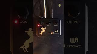 Warm Audio Centavo Blackout Limited Edition  Tone Tailors [upl. by Ayortal]