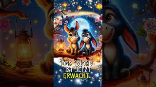 Wünsche dir eine schöne Nacht ✨🌛✨Ein Meer aus Sternen✨🌛✨ [upl. by Janenna]