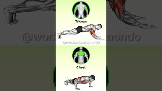 PUSHUP VARIATIONS Explained KNOW the DIFFERENCE for MAX Results [upl. by Notgnihsaw]