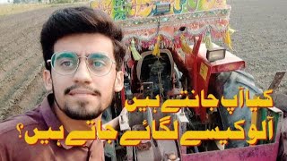 Kia ap jante ha aloo kis trha lagea jata [upl. by Leavy742]