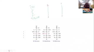 Carbohydrate Chemistry Isomerism [upl. by Enorel]