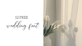 12 Free Wedding Font  free download link on description [upl. by Dambro]