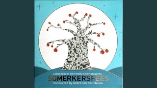 Somerkersfees [upl. by Daveda850]