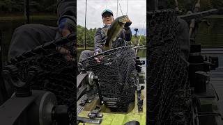 River Bassin  92524 shorts youtubecreators YouTubeHighFive kayakfishing [upl. by Stinson]