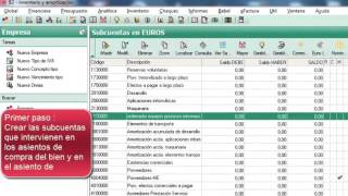 Tutorial de contaplús cómo realizar inventario y amortización en contaplús 13 [upl. by Anayeek205]