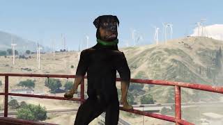 GTA 5 Franklin Kills Chop in the final mission reverse [upl. by Leikeze]