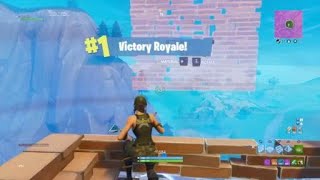 Slaying With Munitions Expert  11 Kill Solo Win Full Gameplay  Fortnite [upl. by Anaile]