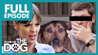 Victorias About to Call Police on Abusive Dog Owner🚨  Full Episode  Its Me or The Dog [upl. by Porta]