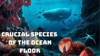 CRUCIAIL SPECIES OF THE OCEAN FLOOR  THE OCEAN WORD [upl. by Seabury942]