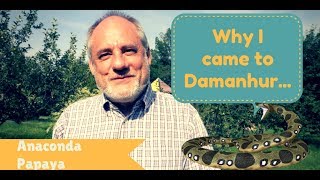 Why I Came to Damanhur Anaconda Papaya ENITDEES [upl. by Aeret426]