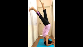 How to Elbow Stand using Wall Yoga Practicing Video  Bhavnas Kitchen amp Living [upl. by Nidla]