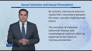 Sexual Selection amp Sexual Dimorphism  Biodiversity amp EvolutionII  BT201Topic171 [upl. by Pozzy219]