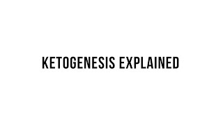 Keto 101  Ketogenesis Explained [upl. by Lotta100]