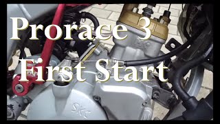 Prorace 3 First Start  Goose Racing [upl. by Bartolomeo828]