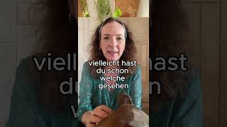 Hundetrainer aufgepasst So hilft euch KI [upl. by Ahsaekal]