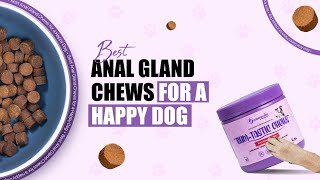 Top Dog Anal Gland Chews  Best Healthy Treats for Dogs DogHealthChews [upl. by Osmen]