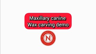 Maxillary canine carving demo Dr NithinK [upl. by Icaj825]