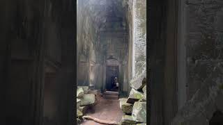 Ta ProhmTomb Raider taprohm angkorwat siemreap shorts shortvideo [upl. by Antrim]