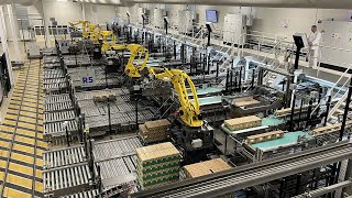 Ep 2  Futureproof robotic palletizing system built for continuous transformation [upl. by Elyc]