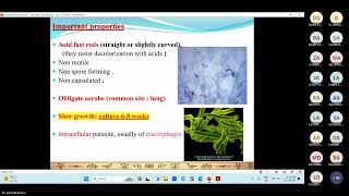 Mycobacteria TB Leprosy PART1 by Dr Abdulrahman Alhusaini [upl. by Felipe]