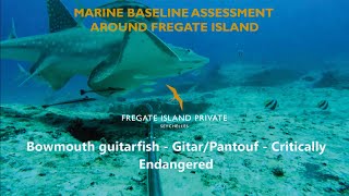 Baited Remote Underwater Video  Fregate Island Private  October 2020 [upl. by Kurtis]