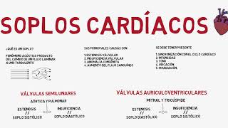 Como diferenciar los soplos cardíacos [upl. by Aisaim241]