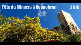 Fête du Mimosa à Roquebrun 14022016 [upl. by Lorn82]